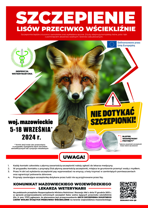 Szczepienia lisów przeciwko wściekliźnie
