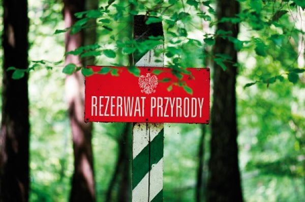 Mazowieckie Rezerwaty Przyrody