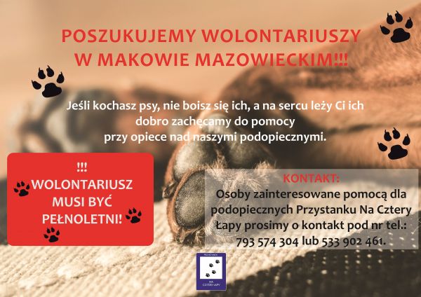 Plakat o poszukiwaniu wolontariuszy