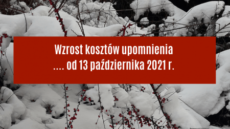 OD PAŹDZIERNIKA WZROSNĄ KOSZY UPOMIENIA