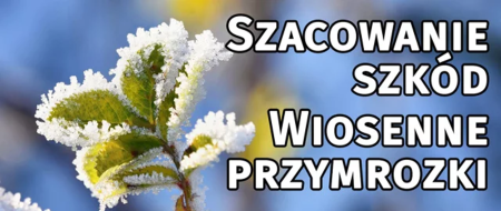 Szacowanie szkód w związku z wystąpieniem przymrozków wiosennych 2025